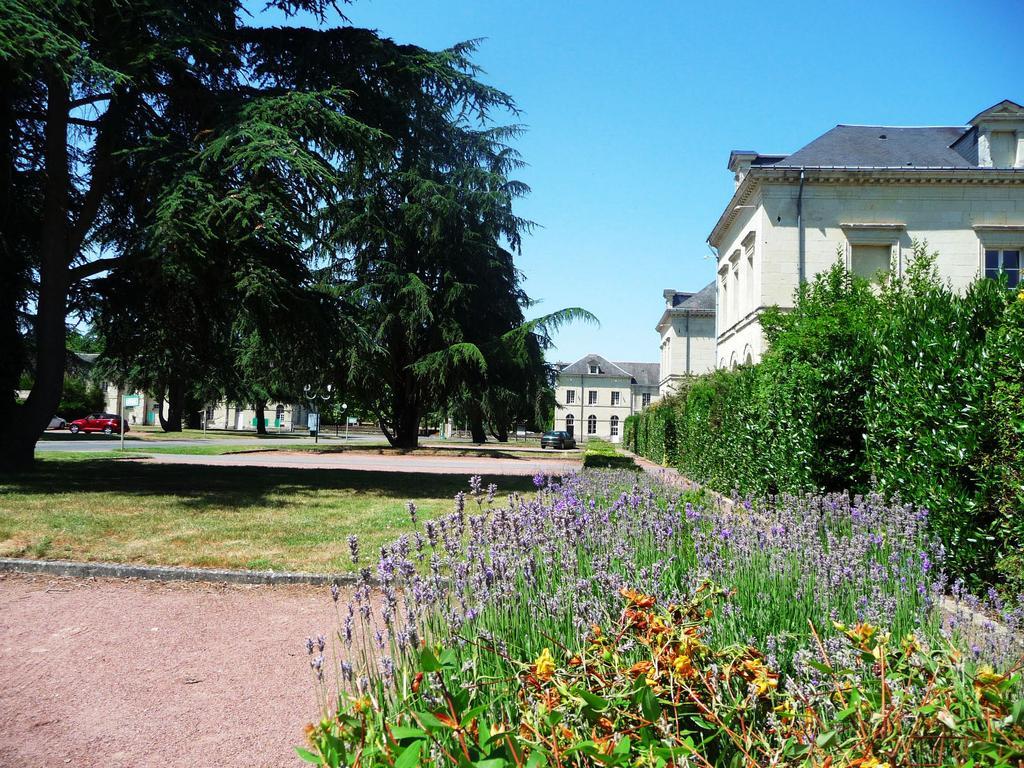 Hotel Domaine De Roiffé Exteriér fotografie