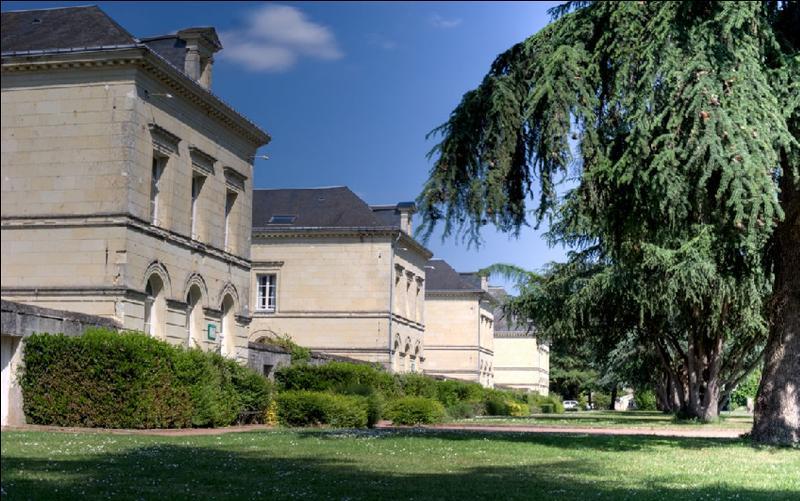 Hotel Domaine De Roiffé Exteriér fotografie